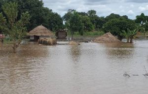 b_300_200_16777215_00_images_stories_images_evt_2022_inondation_ouganda_020922.jpg